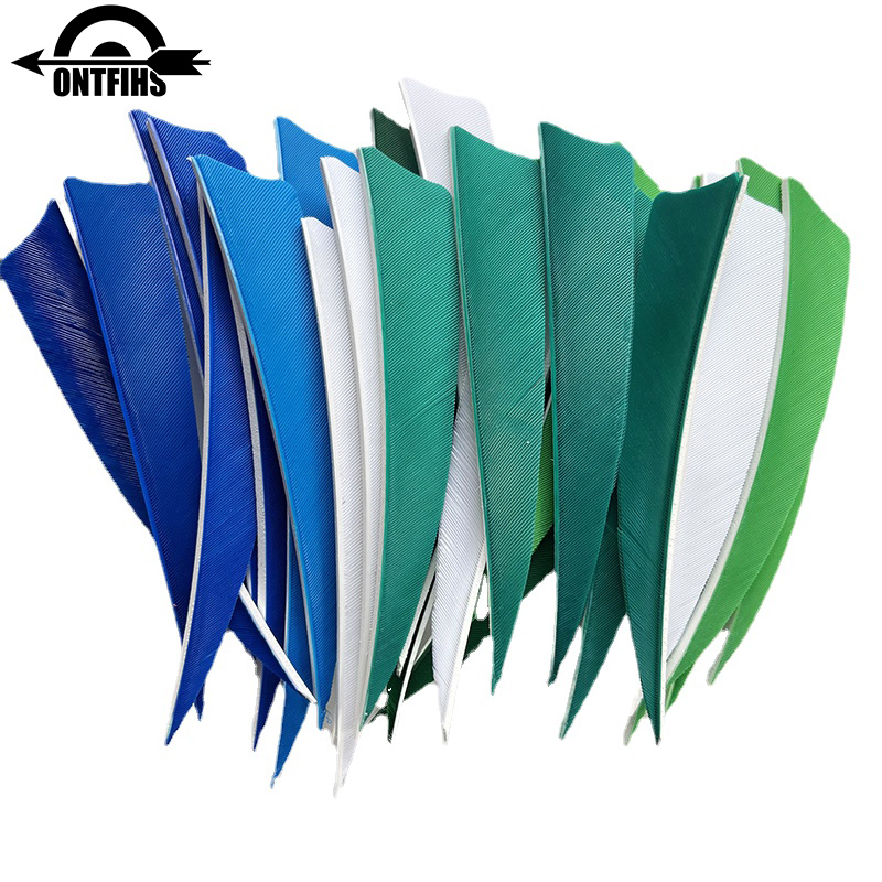 50 Uds. De plumas de flecha de - Archery Target Face reseña y precio